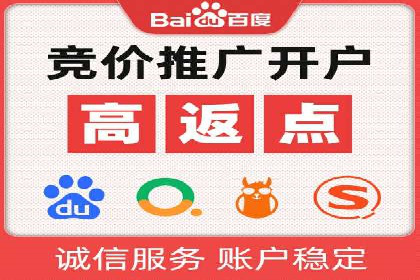 SEM代运营经典案例解析与启示